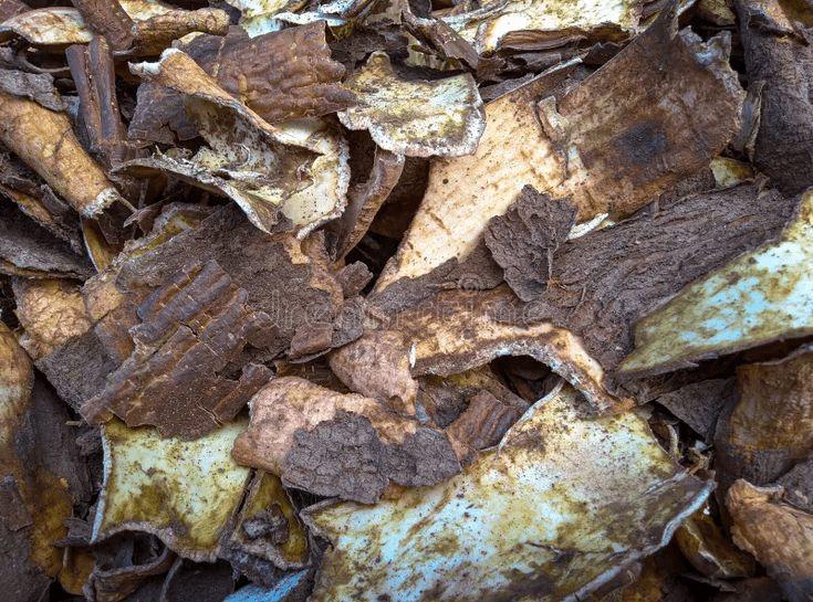 Cassava Peels Grits for Animal Feed